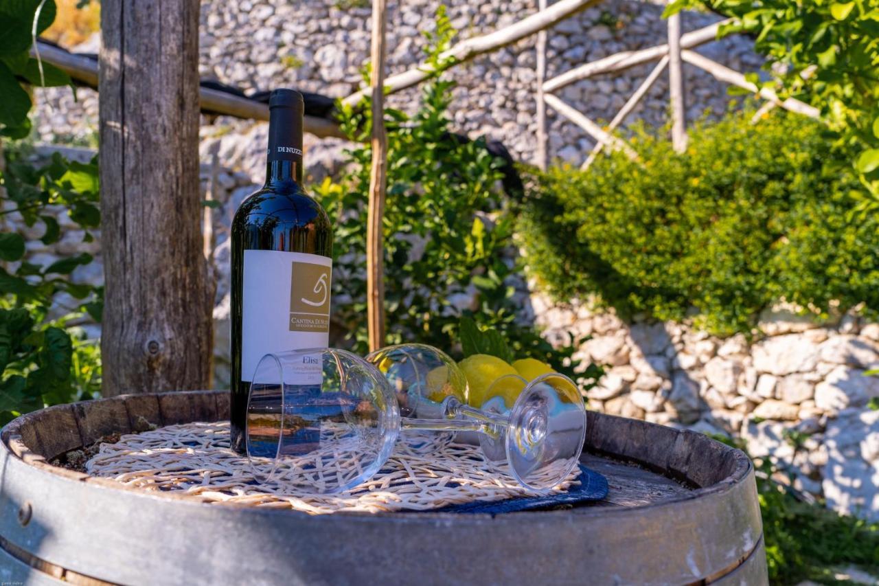 Poggio Angelarosa: Lemon Garden Stay&Relax Scala Exterior foto